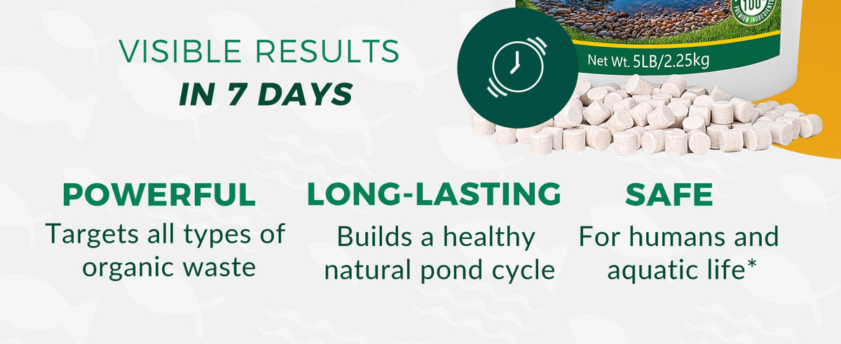 ActiClear Muck Clear - Beneficial Bacteria for Ponds & Lakes