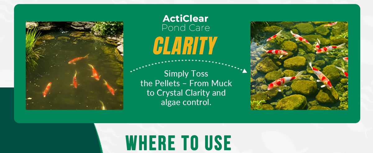 Acticlear Muck Clear – Natural Pond Sludge Treatment