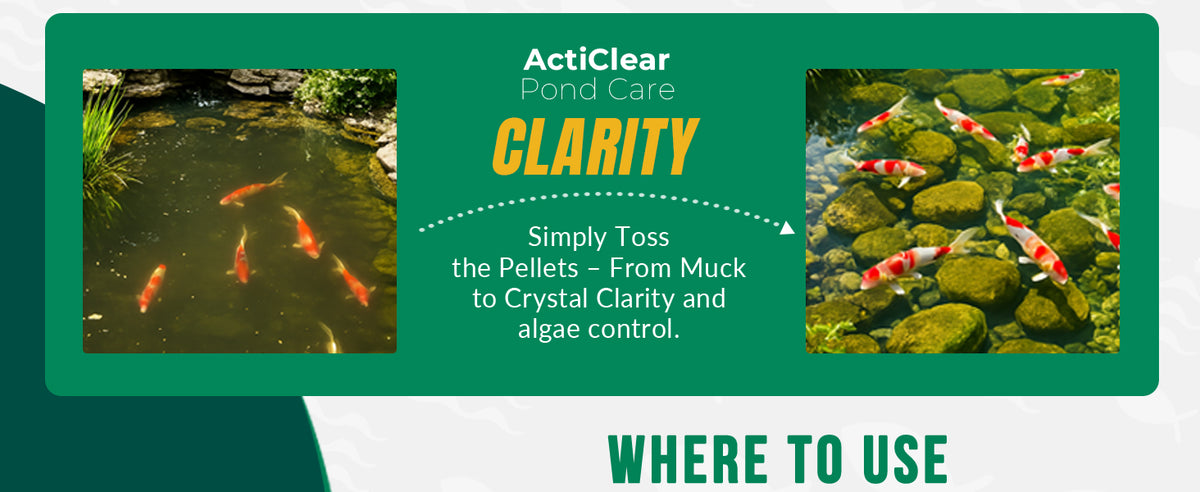 ActiClear Muck Clear - Beneficial Bacteria for Ponds & Lakes