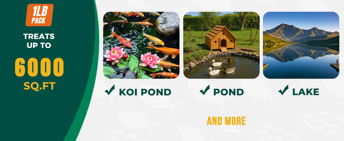 ActiClear Muck Clear - Beneficial Bacteria for Ponds & Lakes