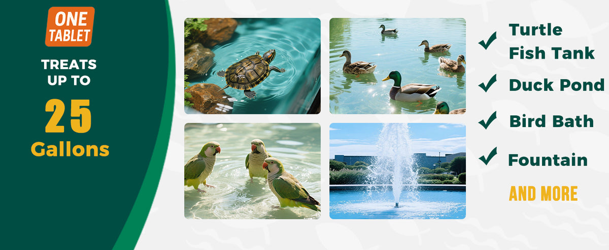 Acticlear Muck Clear – Natural Pond Sludge Treatment